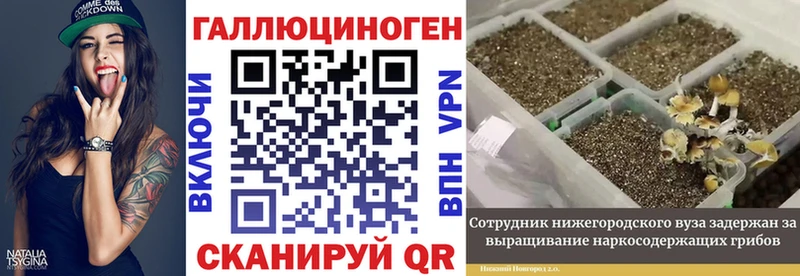 Псилоцибиновые грибы мухоморы  ОМГ ОМГ сайт  Петушки 